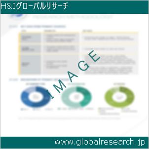 グローバルリサーチ調査レポートのイメージ